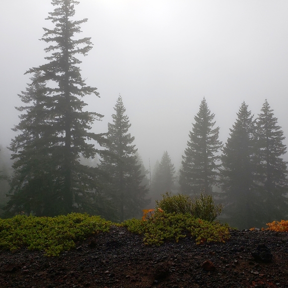 Meet your Posher, Kelly - Picture 2 of 12